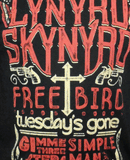 LYNYRD SKYNYRD (1973 Hits) Men's T-Shirt