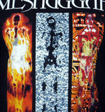 MESHUGGAH (Destroy Erase Improve) Men's T-Shirt
